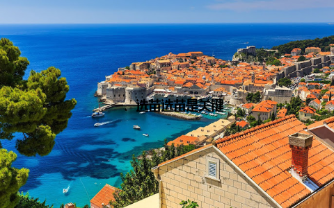 一、选苗选苗是关键