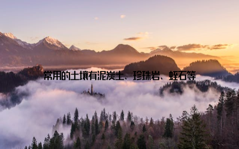 常用的土壤有泥炭土、珍珠岩、蛭石等