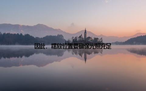 因此, 摆放位置要确保光照充足