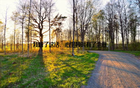 我听了这话, 心里顿时有了主意