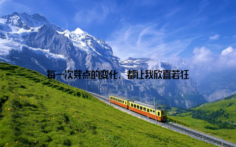 每一次芽点的变化, 都让我欣喜若狂