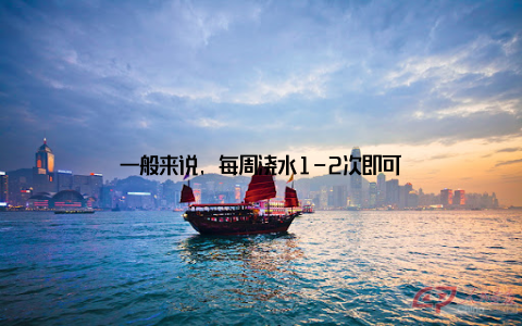 一般来说, 每周浇水1-2次即可