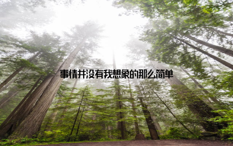 事情并没有我想象的那么简单