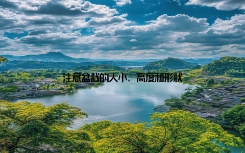 注意盆栽的大小、高度和形状