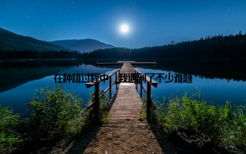 在种植过程中, 我遇到了不少难题