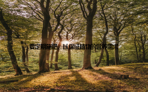 要定期施肥, 以保证植物的营养需求