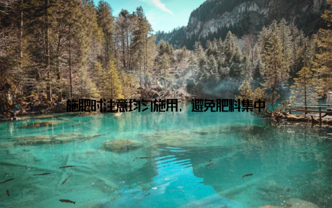 施肥时注意均匀施用, 避免肥料集中