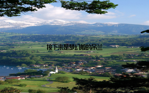 接下来是梦幻般的吊兰