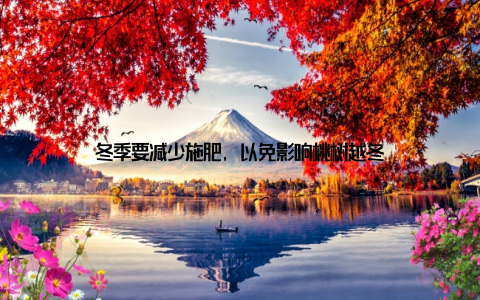 冬季要减少施肥, 以免影响桃树越冬