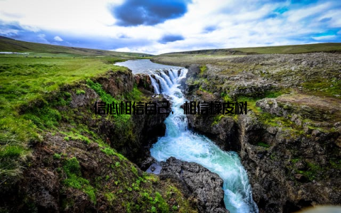 信心相信自己, 相信橡皮树