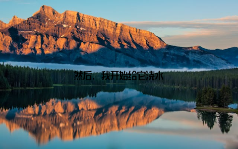 然后, 我开始给它浇水