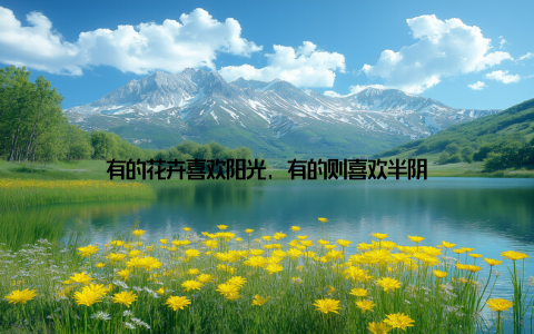 有的花卉喜欢阳光, 有的则喜欢半阴