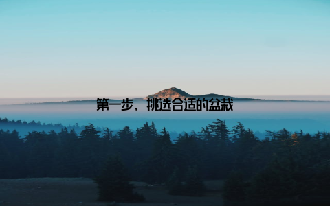 第一步, 挑选合适的盆栽