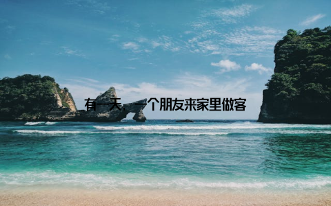 有一天, 一个朋友来家里做客