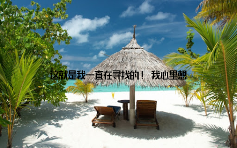 这就是我一直在寻找的! 我心里想