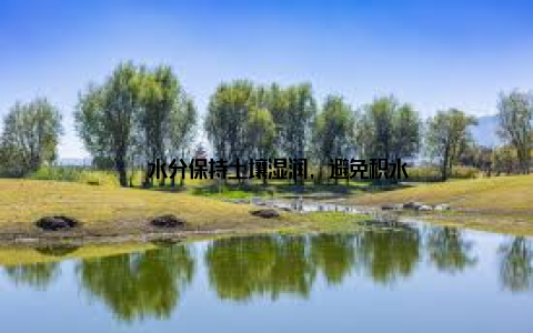 – 水分保持土壤湿润, 避免积水