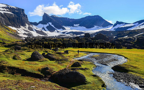 定期给植物浇水, 但要注意不要积水