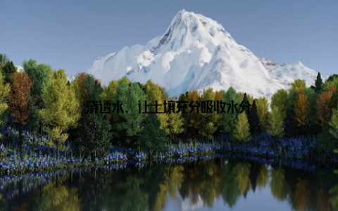 浇透水, 让土壤充分吸收水分