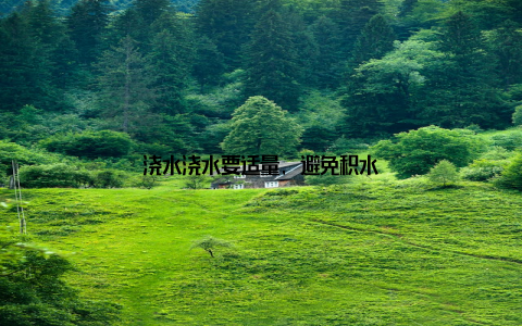 浇水浇水要适量, 避免积水