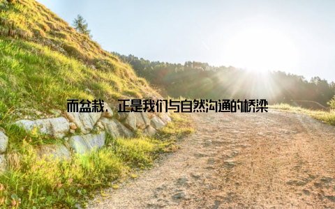 而盆栽, 正是我们与自然沟通的桥梁