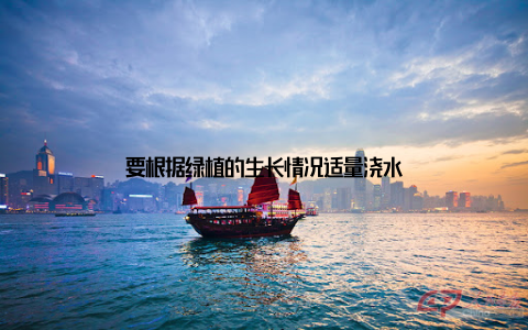 要根据绿植的生长情况适量浇水