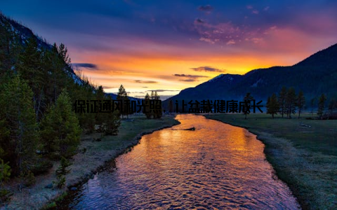 保证通风和光照, 让盆栽健康成长