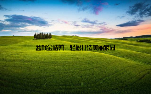 盆栽金桔剪, 轻松打造美丽家园