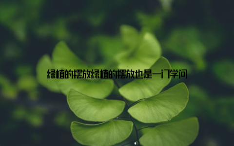 绿植的摆放绿植的摆放也是一门学问