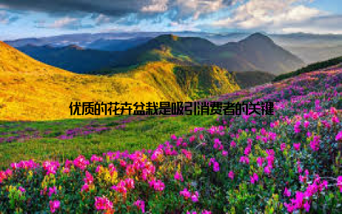 优质的花卉盆栽是吸引消费者的关键