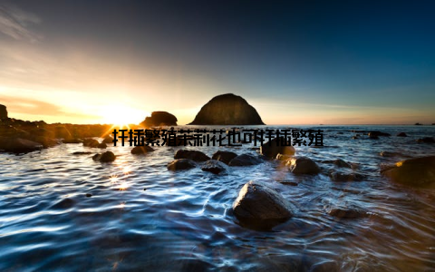 扦插繁殖茉莉花也可扦插繁殖