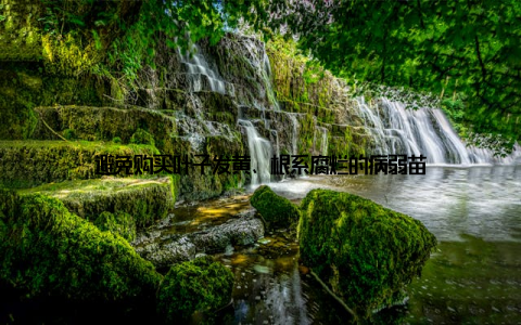 避免购买叶子发黄、根系腐烂的病弱苗