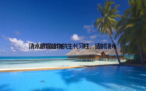 浇水根据植物的生长习性, 适时浇水