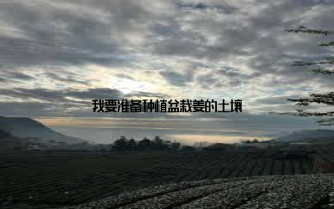 我要准备种植盆栽姜的土壤