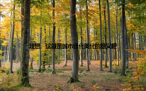 我想, 这就是城市绿化美化的意义吧