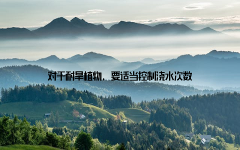 对于耐旱植物, 要适当控制浇水次数