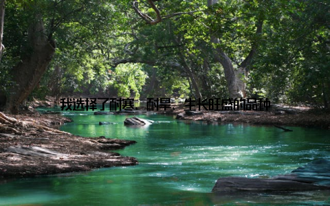 我选择了耐寒、耐旱、生长旺盛的品种