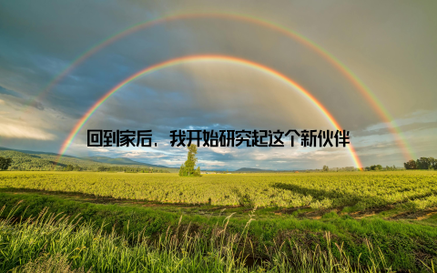 回到家后, 我开始研究起这个新伙伴