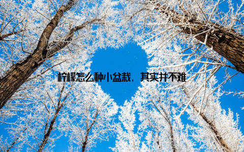 柠檬怎么种小盆栽, 其实并不难