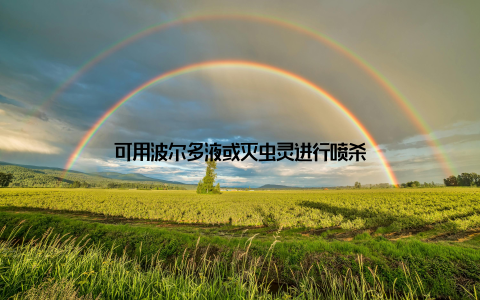 可用波尔多液或灭虫灵进行喷杀