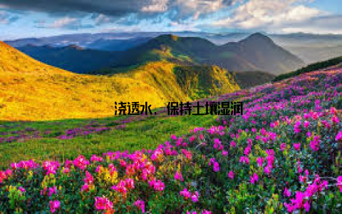 – 浇透水, 保持土壤湿润