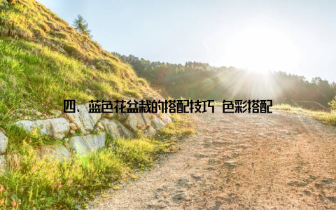 四、蓝色花盆栽的搭配技巧 色彩搭配