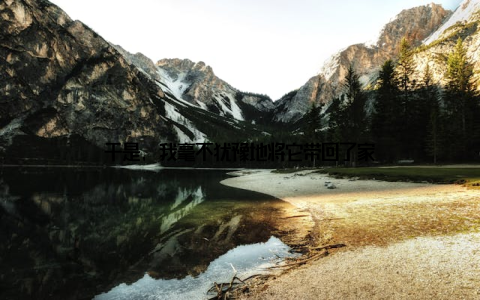 于是, 我毫不犹豫地将它带回了家