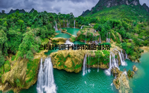 2修枝剪用于修剪较粗的枝条