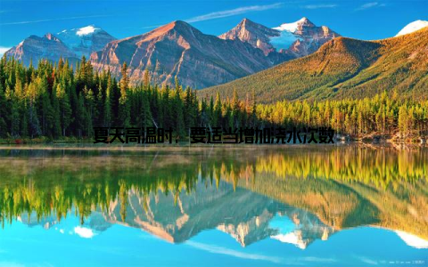 夏天高温时, 要适当增加浇水次数