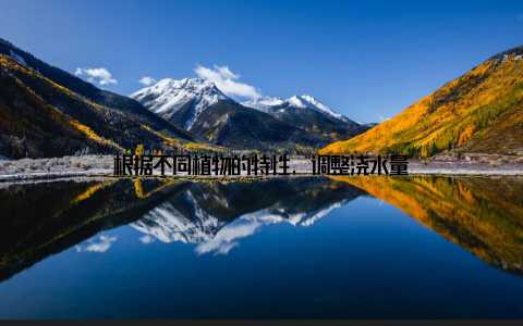 根据不同植物的特性, 调整浇水量