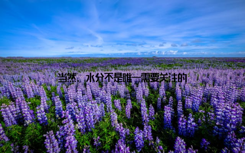 当然, 水分不是唯一需要关注的