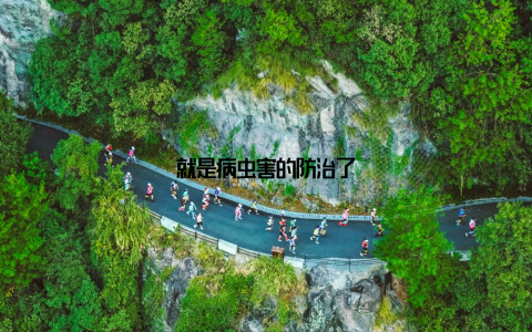 就是病虫害的防治了