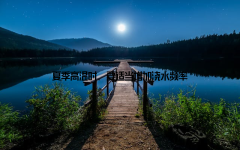 夏季高温时, 要适当增加浇水频率