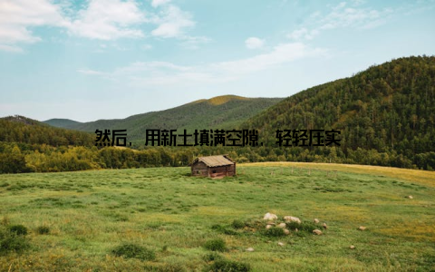 然后, 用新土填满空隙, 轻轻压实