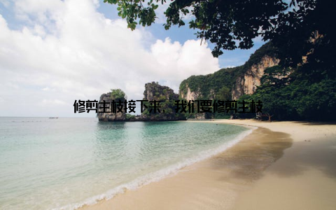 修剪主枝接下来, 我们要修剪主枝